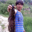 백호3호 이미지