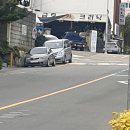 금호카클리닉 이미지