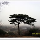 소나무집민박 이미지