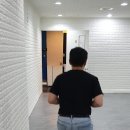 나떼 이미지