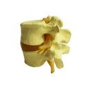 용한외과의원 이미지