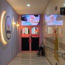 일보시개 24시 애견호텔&애견유치원 | 위례 아지트 댕댕 데이케어 애견 유치원 호텔링 애견카페