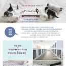 프라임 호프 이미지