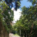 용암사입구 | 옥천 용암사 다녀오다.