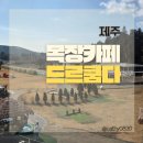 안다미로목장제3농장 | 제주동쪽 가볼만한곳 목장카페 드르쿰다 카트체험 제주봄 여름 가을 가볼만한곳 아이들체험