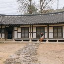 신안원목