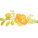 화훼장식기능사(초급) 이미지