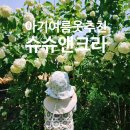 아기 여름옷 슈슈앤크라 후기26여름 추천 17개월 두돌아기 옷추천 등원룩 여행룩 아기옷선물