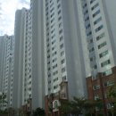 하단동1217 이미지