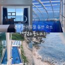 엘라포니시 풀빌라&호텔 | 엘라포니시 풀빌라&amp;호텔 | 노견과 함께한 가족여행 1박 후기 (🐶반려동물 동반)