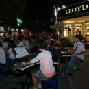 장미의거리3 이미지