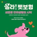 경북종합동물병원 올치올치