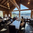 너구리의 피난처 이미지