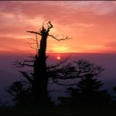 내마음의여행 이미지