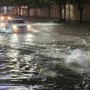 이례로-3 이미지