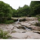 유림-1084 이미지