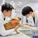 괜찮아동물병원 이미지