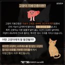 하나동물종합병원 이미지