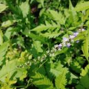 모현농장 이미지