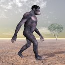 호모 하빌리스[Homo Habilis] 이미지