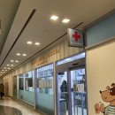 웰니스동물병원(롯데월드점) | 웰니스동물병원 롯데월드점