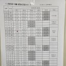 근포항 | 거제 장사도 해상공원 까멜리아*근포항 유람선으로 다녀온 후기! 거제 가족여행 가볼만한 곳