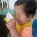 최종성소아청소년과의원 네이버블로그