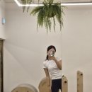 제주 삼화지구 필라테스 로하필라테스｜코어 제대로 잡고 온 그룹수업 후기