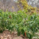 현진컴퍼니 이미지