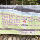메타피아 오래캠핑장
