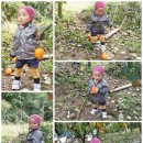 하청농장 이미지