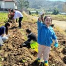 서정2리마을회관 | [서포터즈] 세종미래마을 어린이농촌체험 추천! &lt;전의면 서정2리&gt;사계절 채소마을 어린이 촌캉스