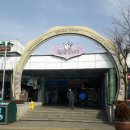 신성직업소개소 네이버블로그