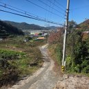 (주)온나라부동산중개법인 | 김해 아주아주 저렴한 전원주택 매매 부산근교