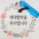 목동-라테라 산후조리원 후기