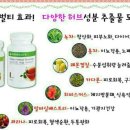 핫점핑 네이버블로그