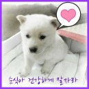 순식농장 이미지