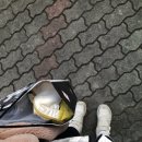 가회면 | ⛰️감암산