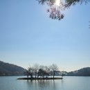 제천시 의림지 주차장 이미지