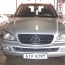 제일밋숀 이미지