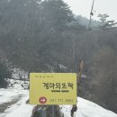 젬마의뜨락