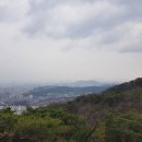 완산-116 네이버블로그