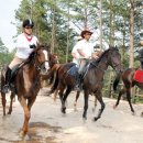 죽림다목적구장(족구) | 공립 운주산 승마 자연휴양림 (경상북도)