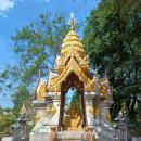 화석농장 이미지