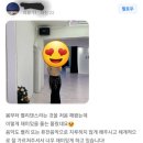 뱃살 탈출 밸리댄스 이미지