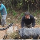 영월스키 이미지