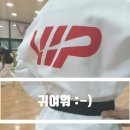 VIP 태권도장 이미지