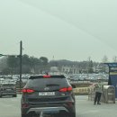 액션 | 에버랜드 월요일 평일 인파 워킹사파리 후기 티익스프레스 액션캠 후기