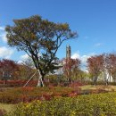 부산시민공원 이미지