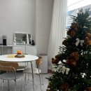 아코네일 이미지